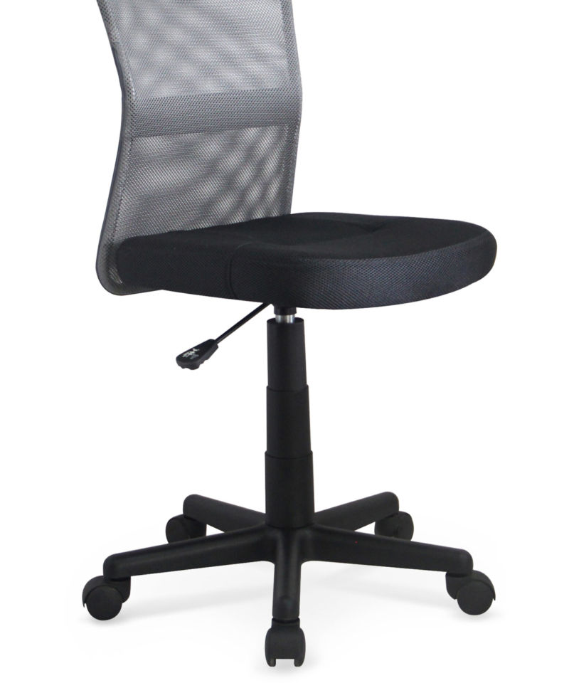 DINGO chair color: grey/black