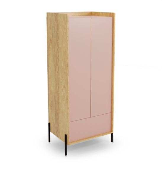 MOBIUS cabinet 2D color: hikora oak/white