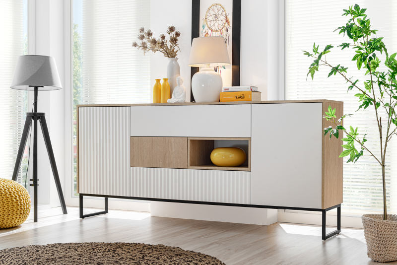 ZOE TV stand 2D3S scandi/white mat