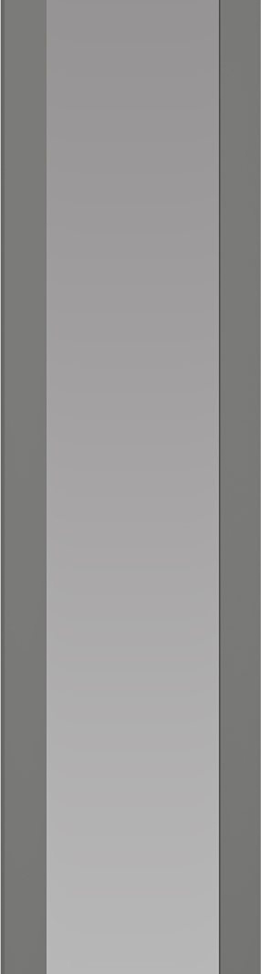 FLEX - F3 front with mirror for the MODULAR WARDROBE SYSTEM - dark grey