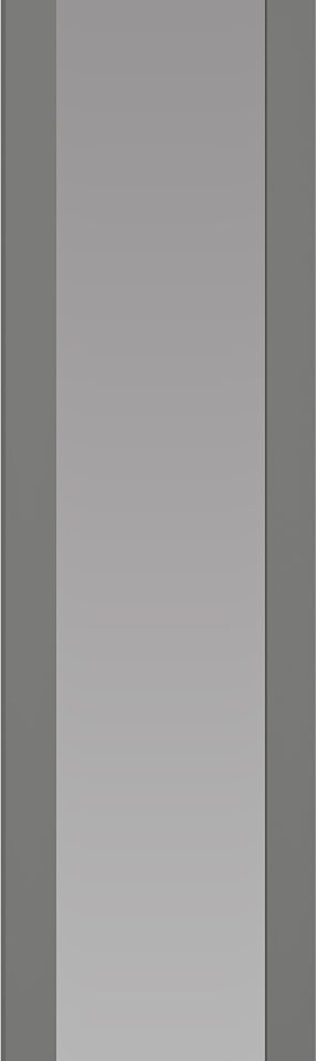 FLEX - F3 front with mirror for the MODULAR WARDROBE SYSTEM - dark grey